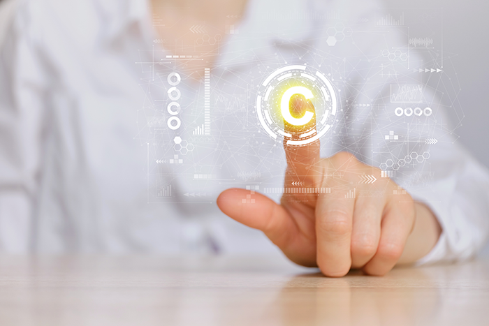 Software patents are protecting the invention or the original idea